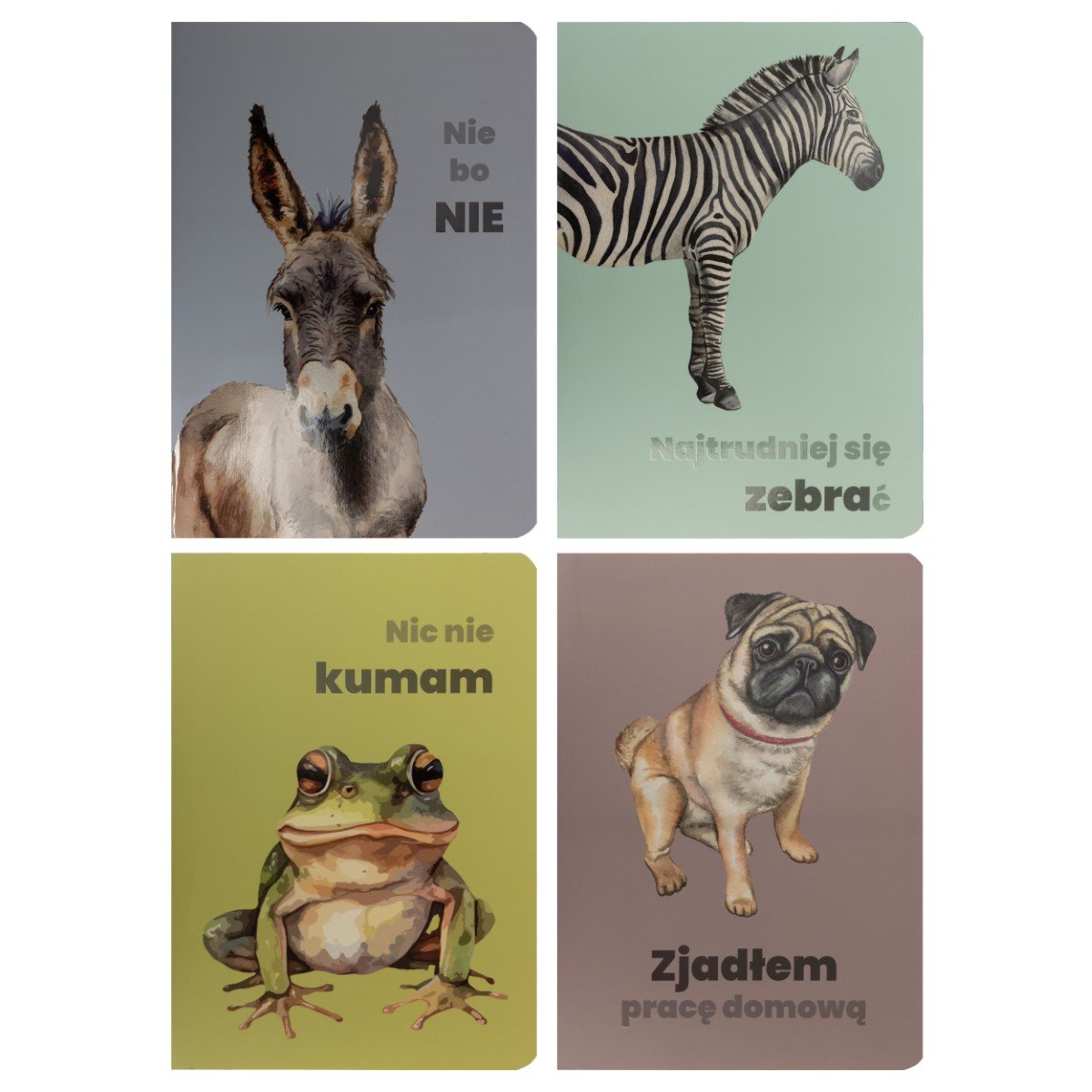 Paperdot, Zeszyt, Zwierzęta, A5, 80 kartek