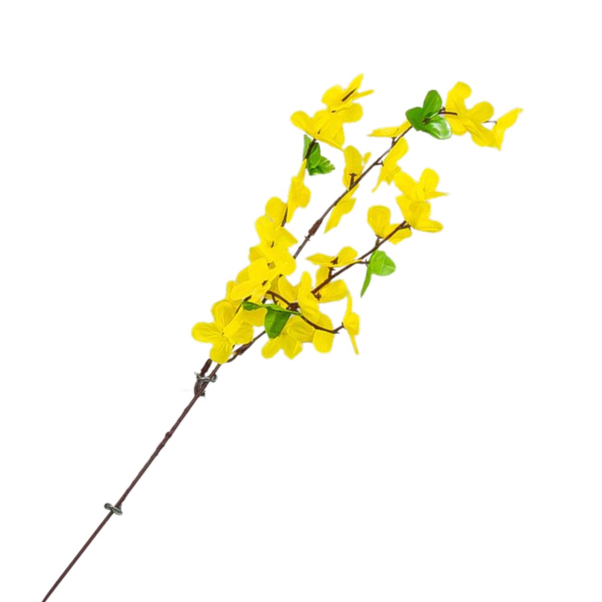 [608147] Gałązka wiosenna forsycja