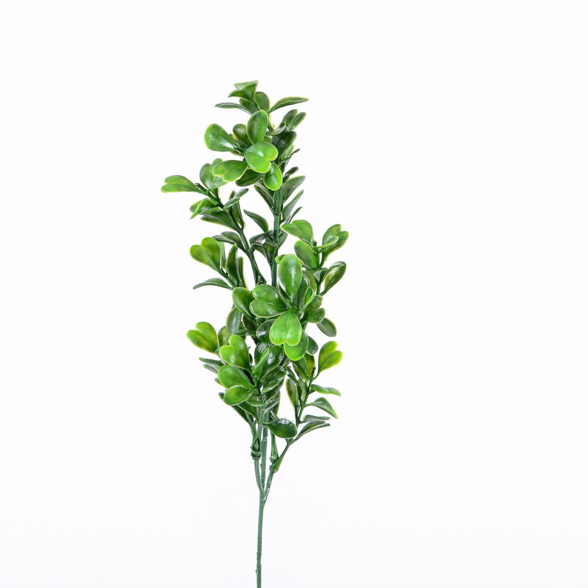 [w0452] Gałązka bukszpanu pojedyncza 44cm