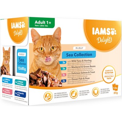 Iams 12 x 85 g Delights + 2 x 85 g Delights Adult Kurczak i indyk w sosie gratis! Rybne smaki w galarecie