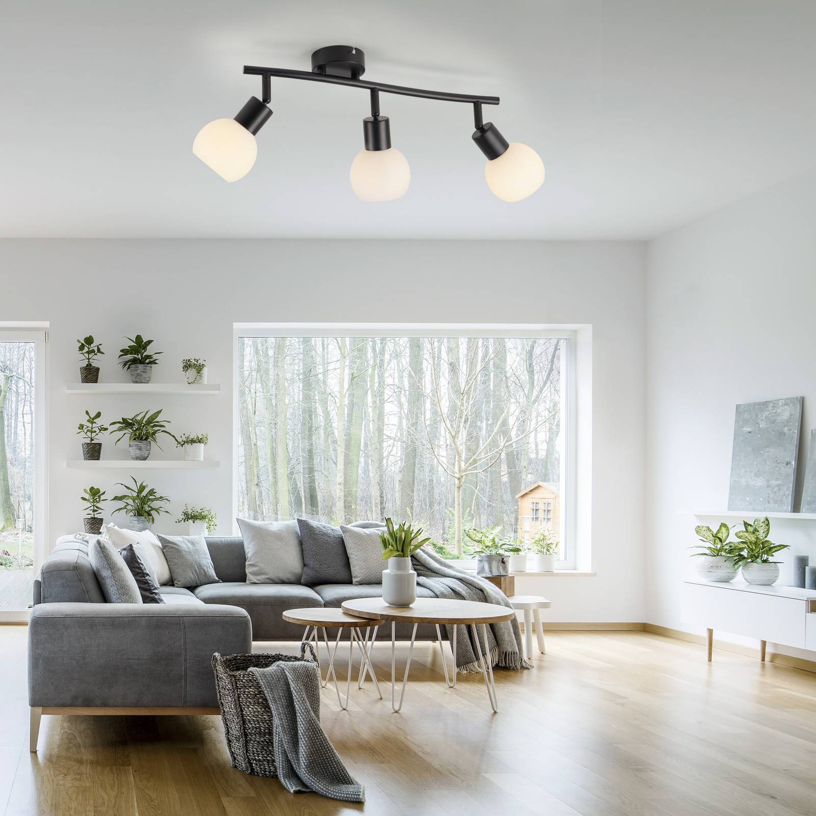 JUST LIGHT. Lampa sufitowa Loki, 3-punktowa, długa, czarna, żelazo