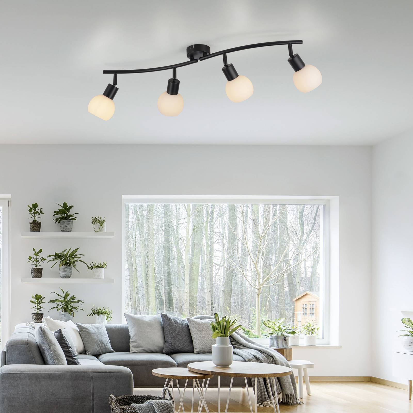 JUST LIGHT. Lampa sufitowa Loki, 4-punktowa, czarny, żelazo, szkło