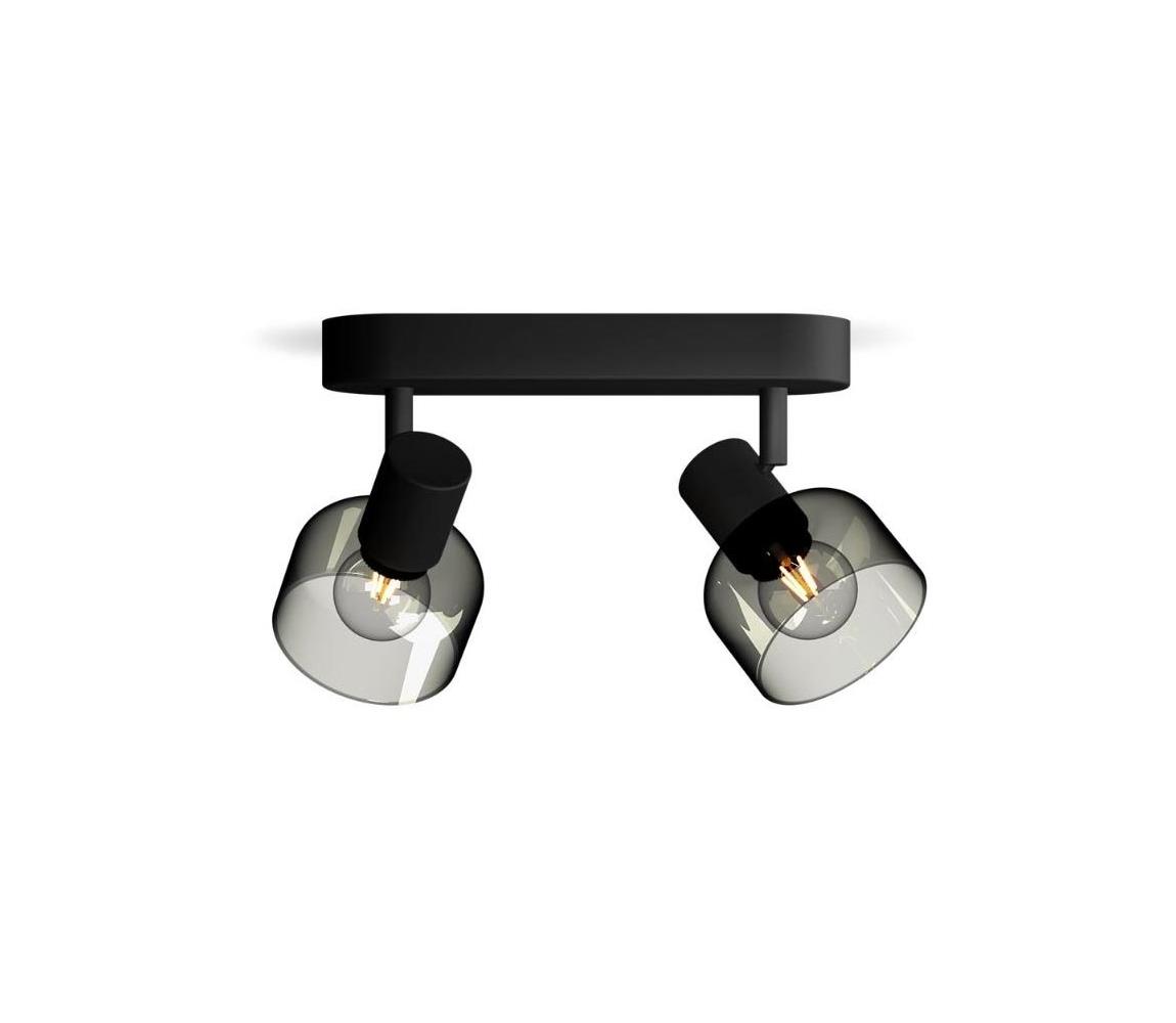 Philips - Oświetlenie punktowe SLEET 2xE14/25W/230V