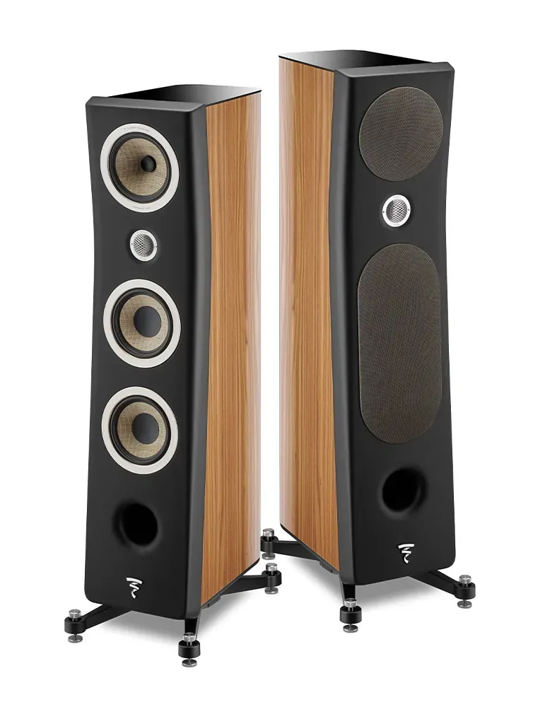 Focal Kanta N°2 orzech-czarny