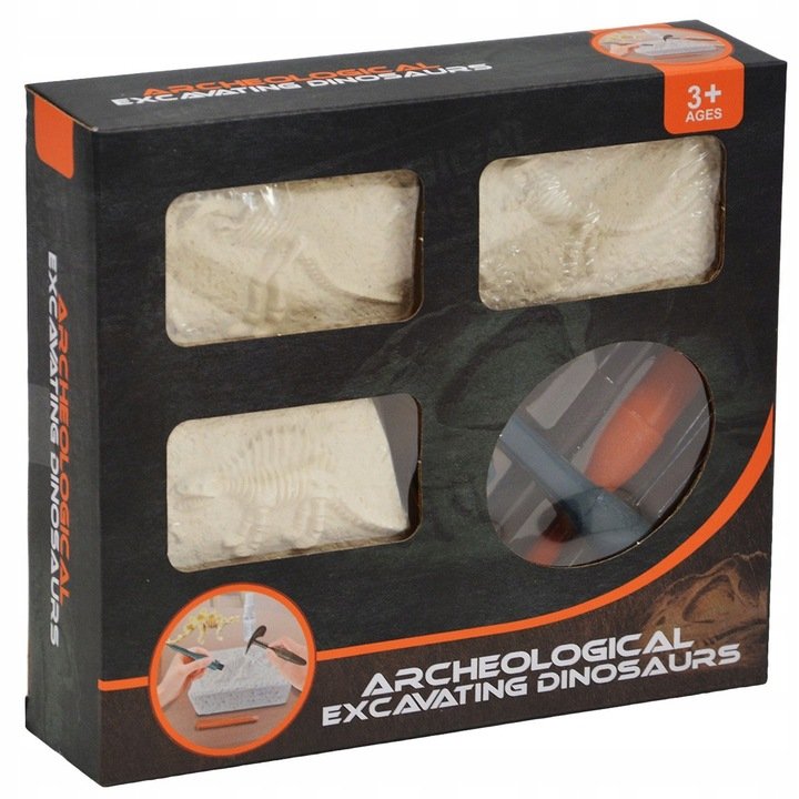 Zestaw SKAMIELINY szkielet dinozaura 3 sztuki