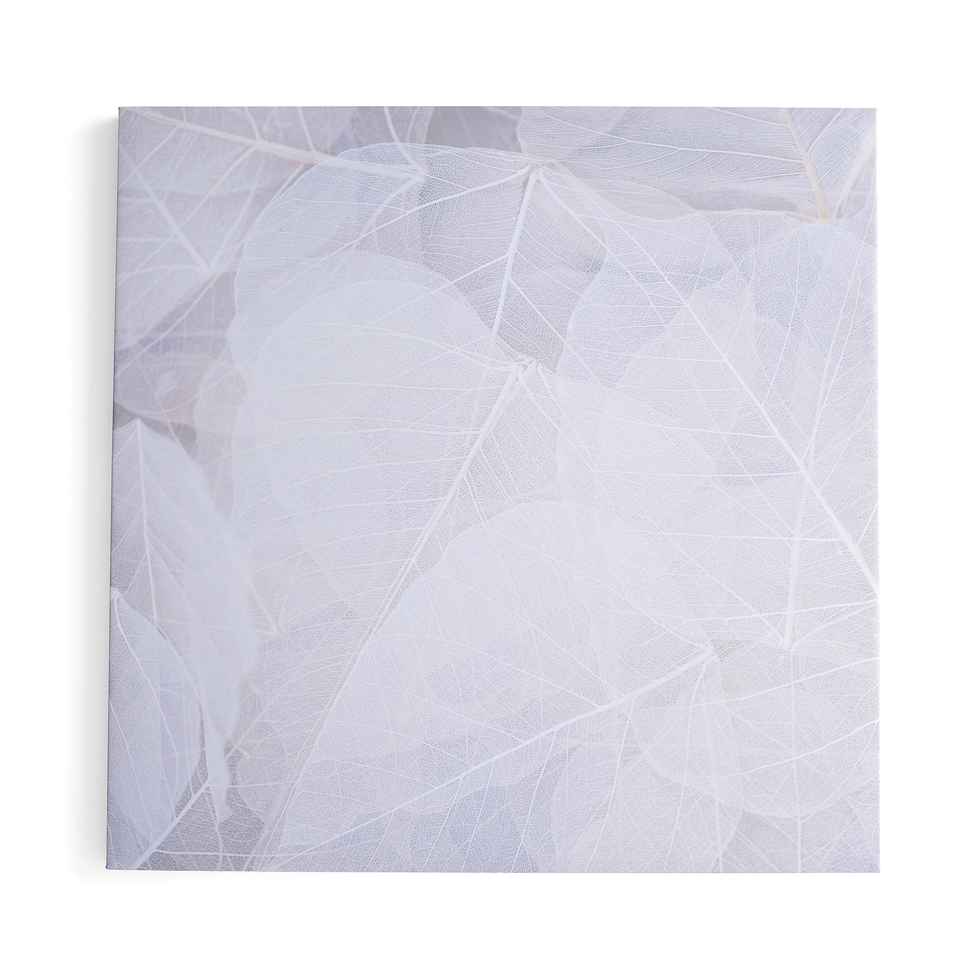 Panel akustyczny IMAGE, zimowy liść, 1200x1200 mm, beżowy