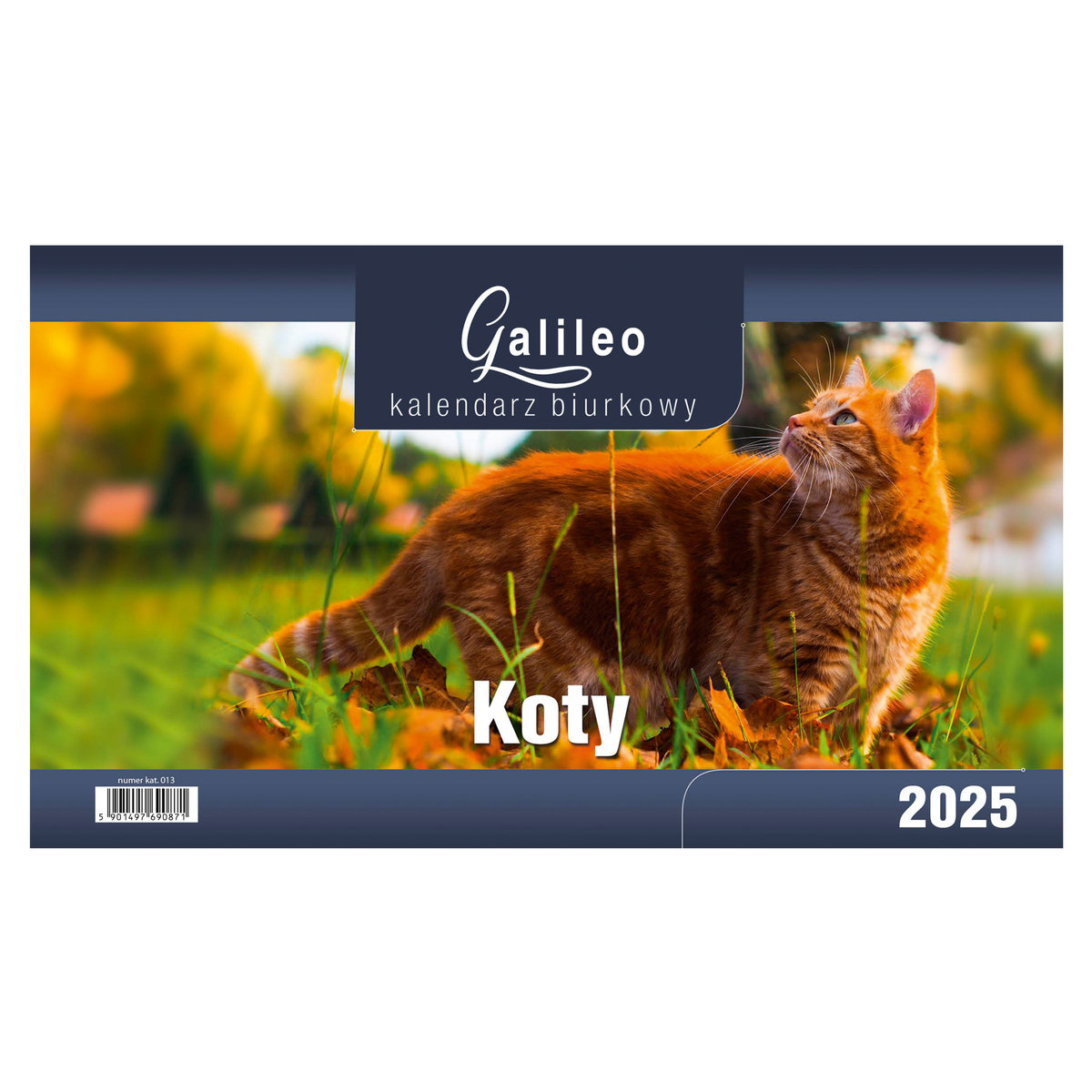 Kalendarz Biurkowy 2025 - STOJĄCY GALILEO - KOTY