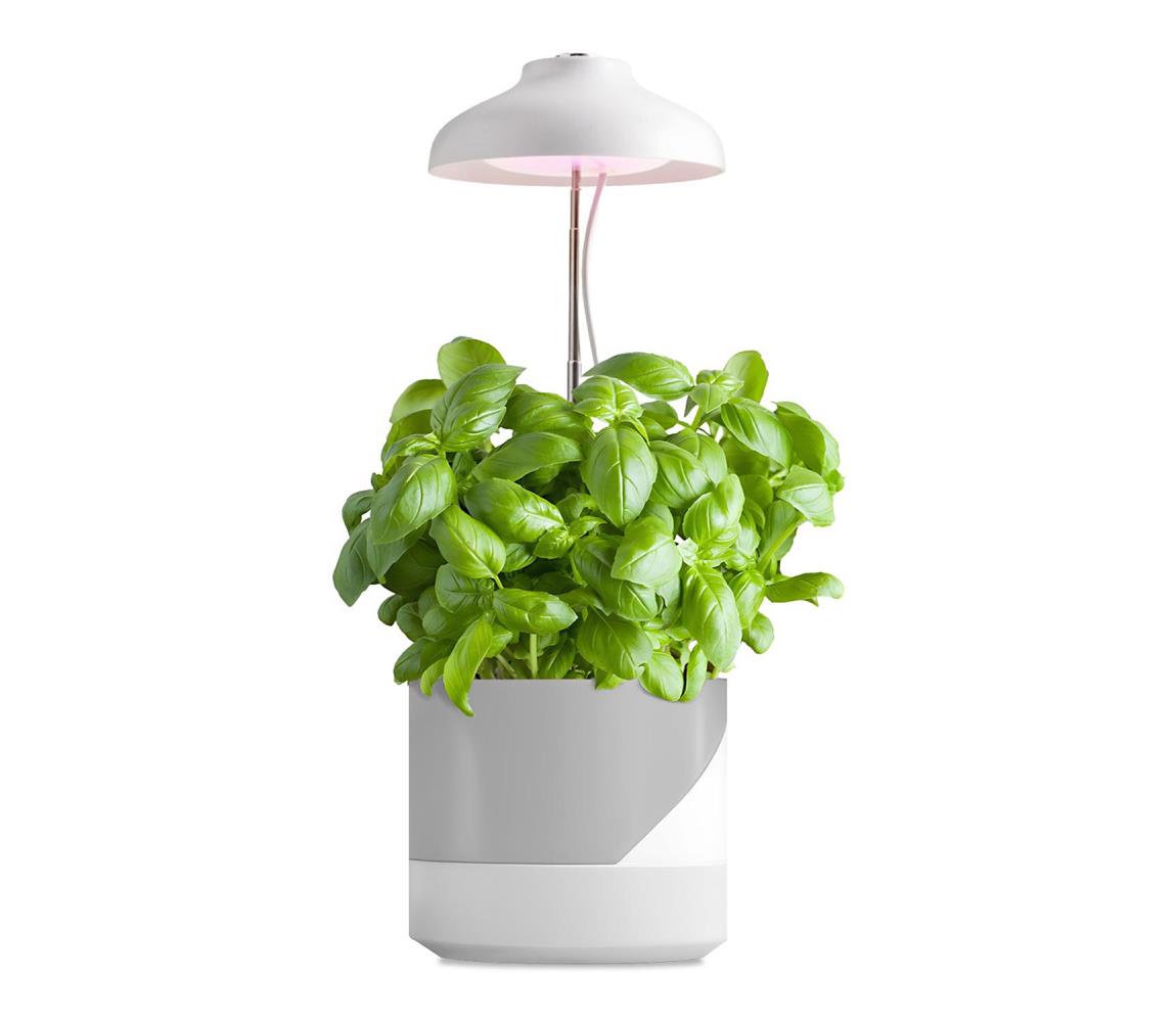 LED Lampka do wewnętrz dla roślin LED/5W/5V 3200K
