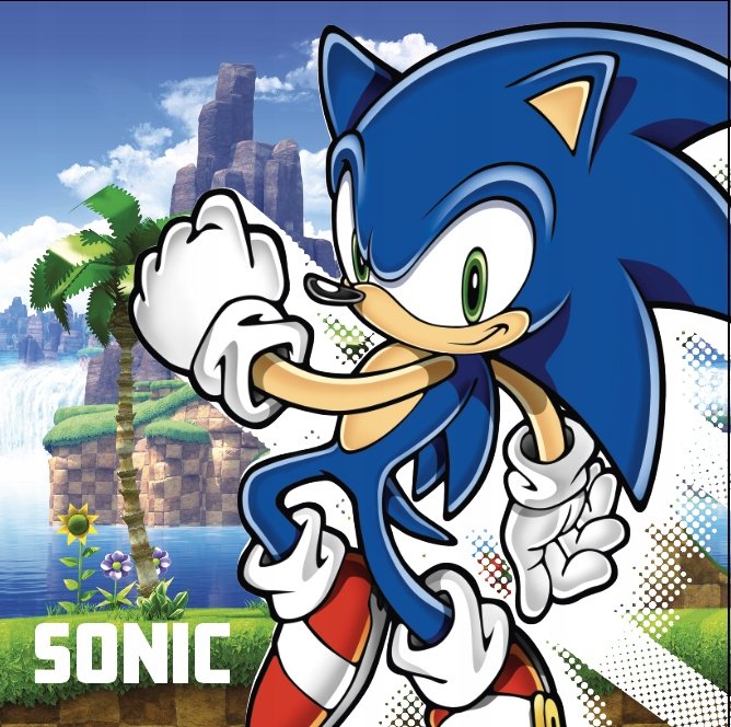 RĘCZNIK ręczniczek do rąk JEŻ SONIC 30x30 cm
