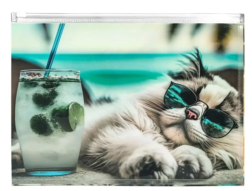 Koperta A4 PP z nadrukiem zip Chillout Cat - Panta Plast