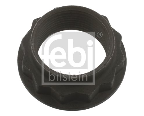 Nakrętka, wałek wejściowy (mechanizm różnicowy) Febi Bilstein 36662