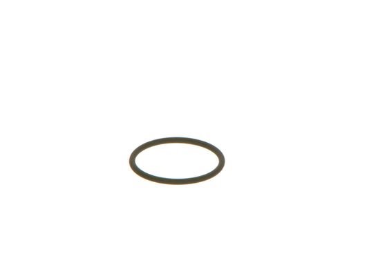 BOSCH Pierścień uszczelniający BOSCH F 00V C38 002