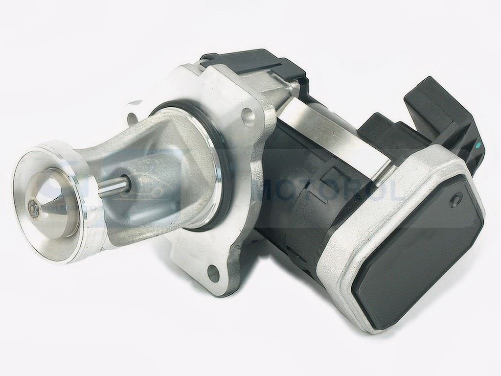 Zawór AGR Delphi EG10431-12B1
