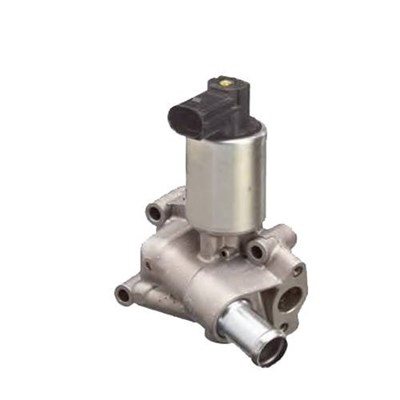 Zawór AGR Magneti Marelli 571822112066