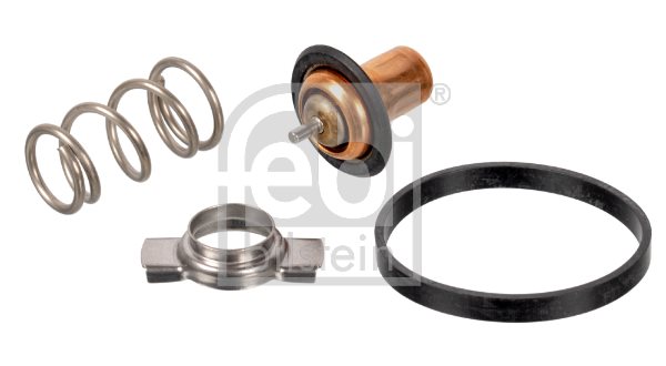 Termostat, płyn chłodzący Febi Bilstein 173111