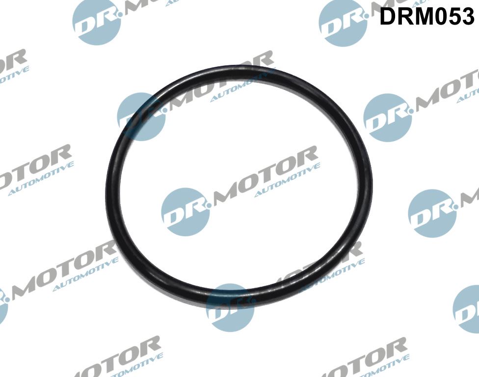 Uszczelka, filtr paliwa Dr.motor Automotive DRM053