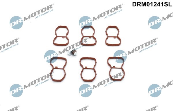 Zestaw naprawczy, moduł rury ssącej Dr.motor Automotive DRM01241SL