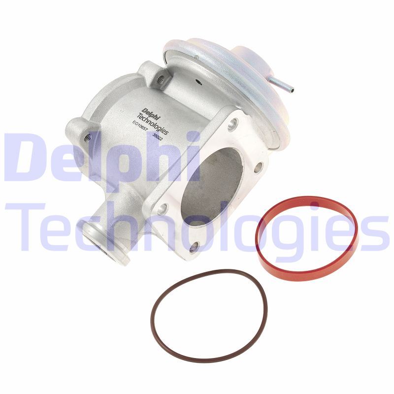 Zawór AGR Delphi EG10657-12B1