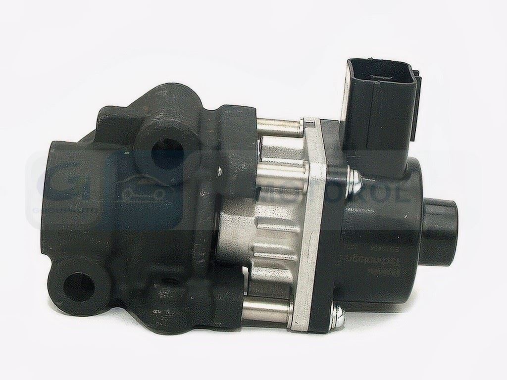Zawór AGR Delphi EG10454-12B1