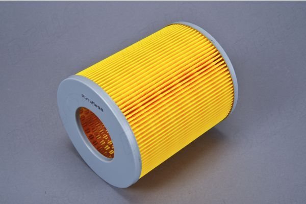 Filtr powietrza Dello Automega 180069110