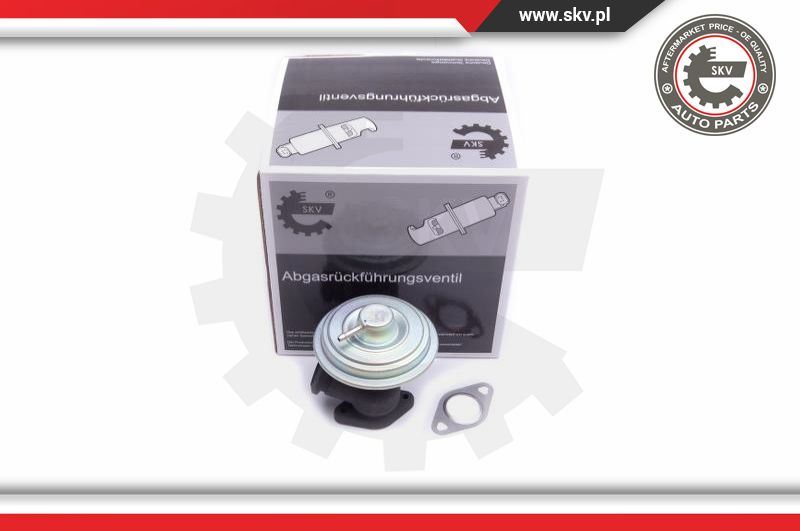 Zawór AGR Esen SKV 14SKV203