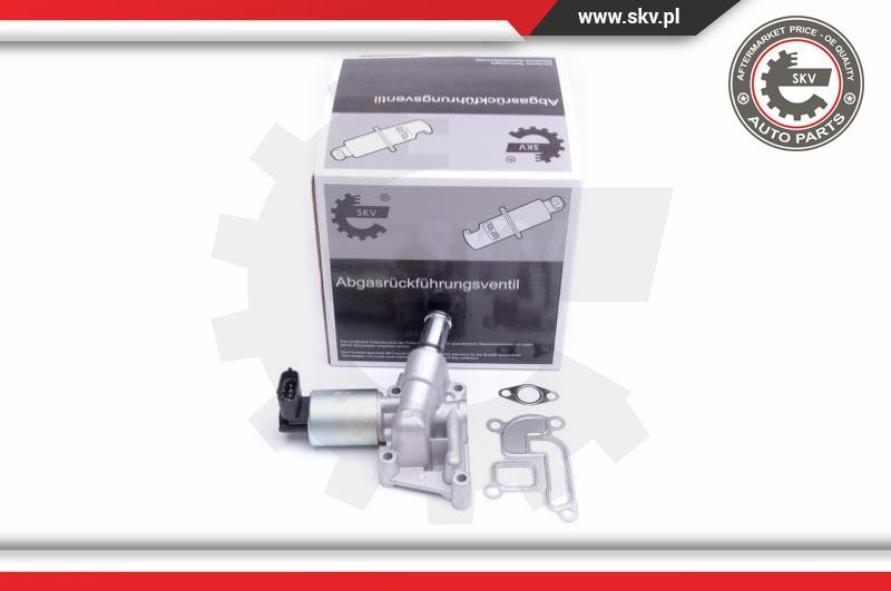 Zawór AGR Esen SKV 14SKV207