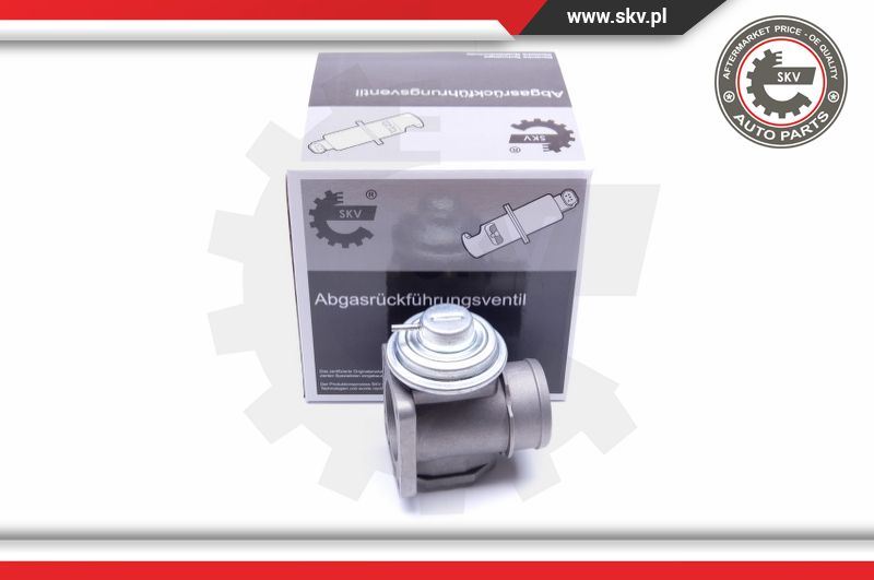 Zawór AGR Esen SKV 14SKV174