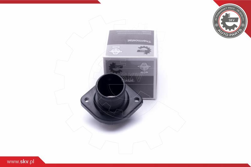Termostat, płyn chłodzący Esen SKV 20SKV129