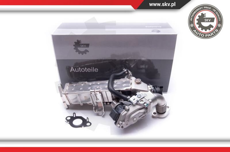 Zawór AGR Esen SKV 14SKV235