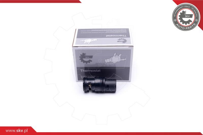 Termostat, płyn chłodzący Esen SKV 20SKV153