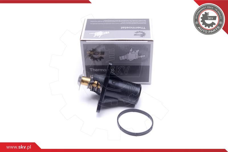 Termostat, płyn chłodzący Esen SKV 20SKV193