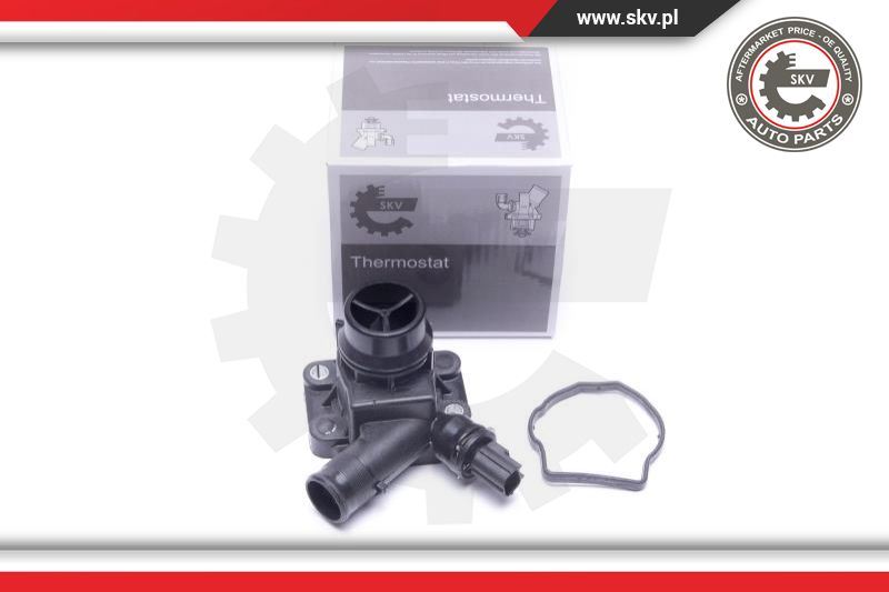 Termostat, płyn chłodzący Esen SKV 20SKV170