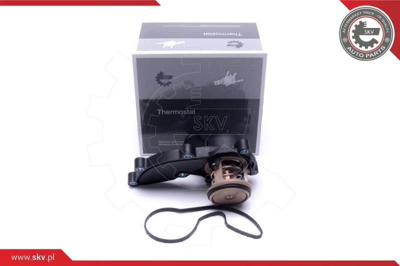 Termostat, płyn chłodzący Esen SKV 20SKV178