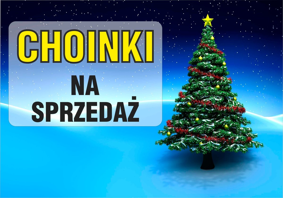 Tablica duża CHOINKI NA SPRZEDAŻ 80X120CM cm PCV 3mm DUŻA