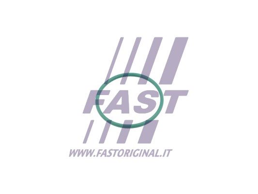 Pierścień uszczelniający, elast. przewód pow. do turbiny Fast FT49921