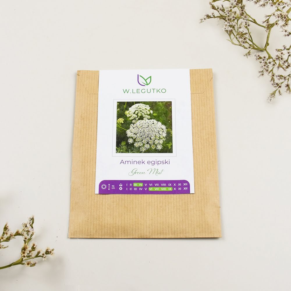 Aminek egipski (Koper ozdobny) Green Mist Biały 0.5g - Nasiona - W. Legutko