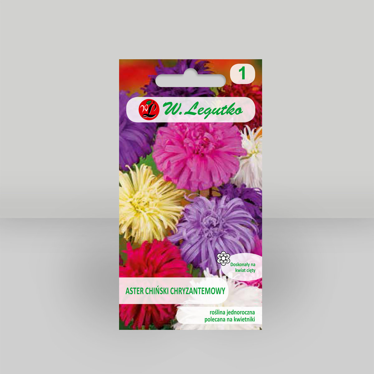 Aster chiński chryzantemowy Mieszanka 1,25g - Nasiona - W. Legutko