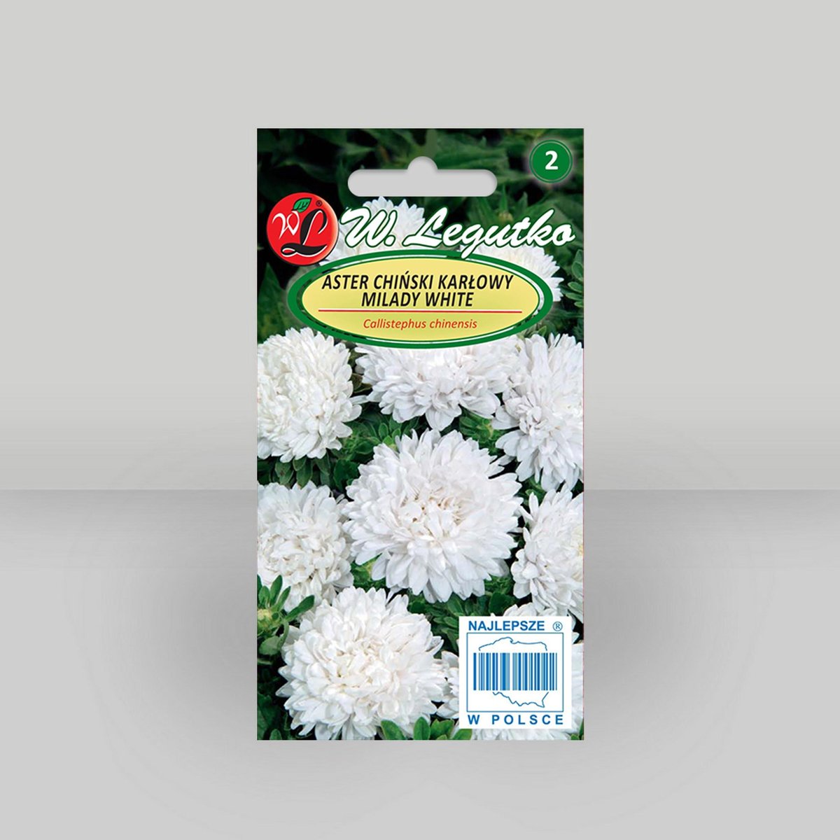 Aster chiński karłowy Milady White Biały 1g - Nasiona - W. Legutko