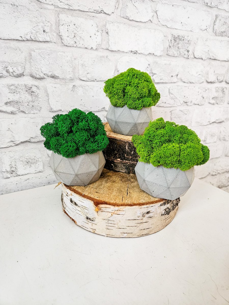 Betonowa doniczka z mchem / ZIELONA CHATKA