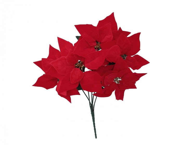 [608199] Bukiet czerwonych poinsecji 5 kwiatów 50cm