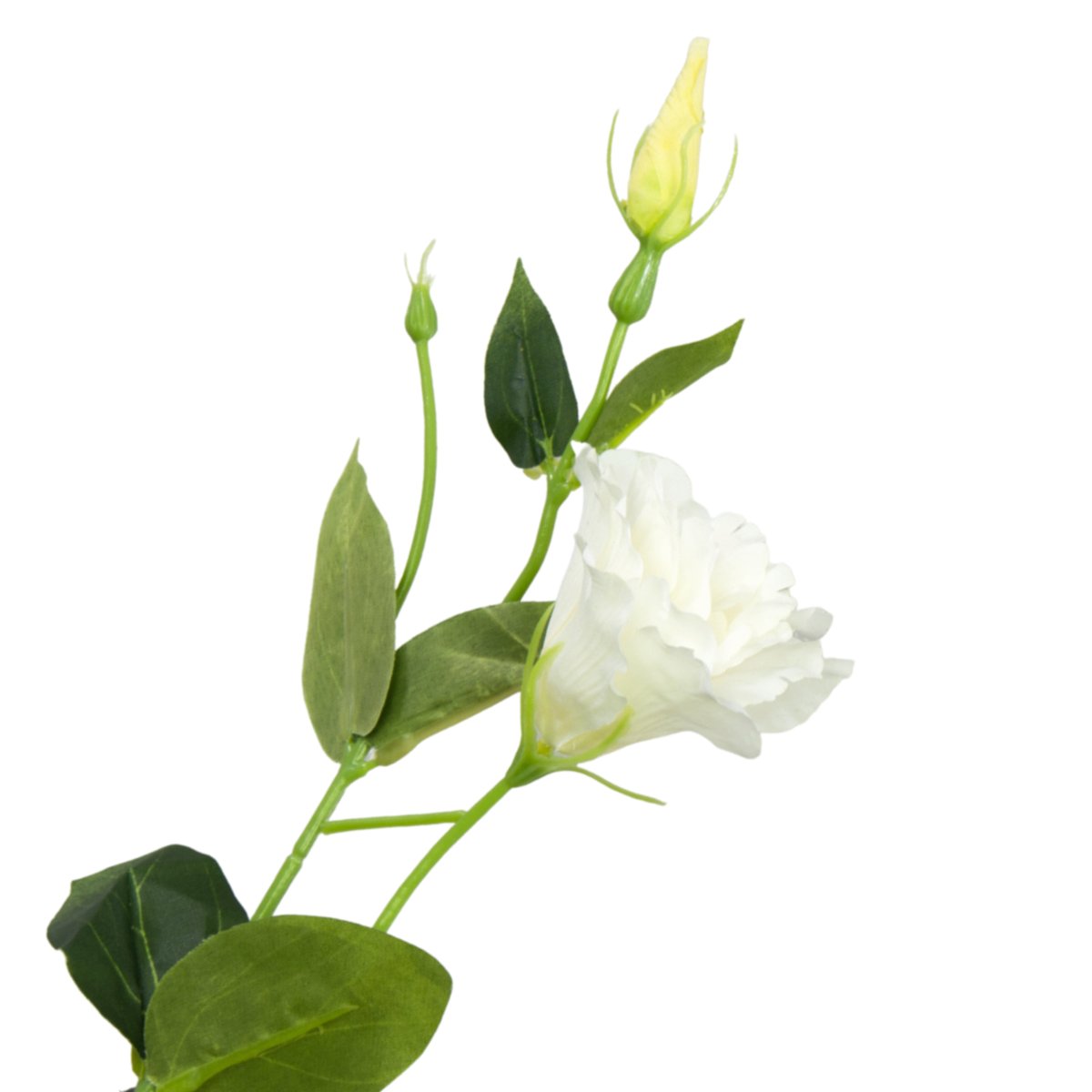 [680741 ] Gałązka kwiatowa eustoma kremowa