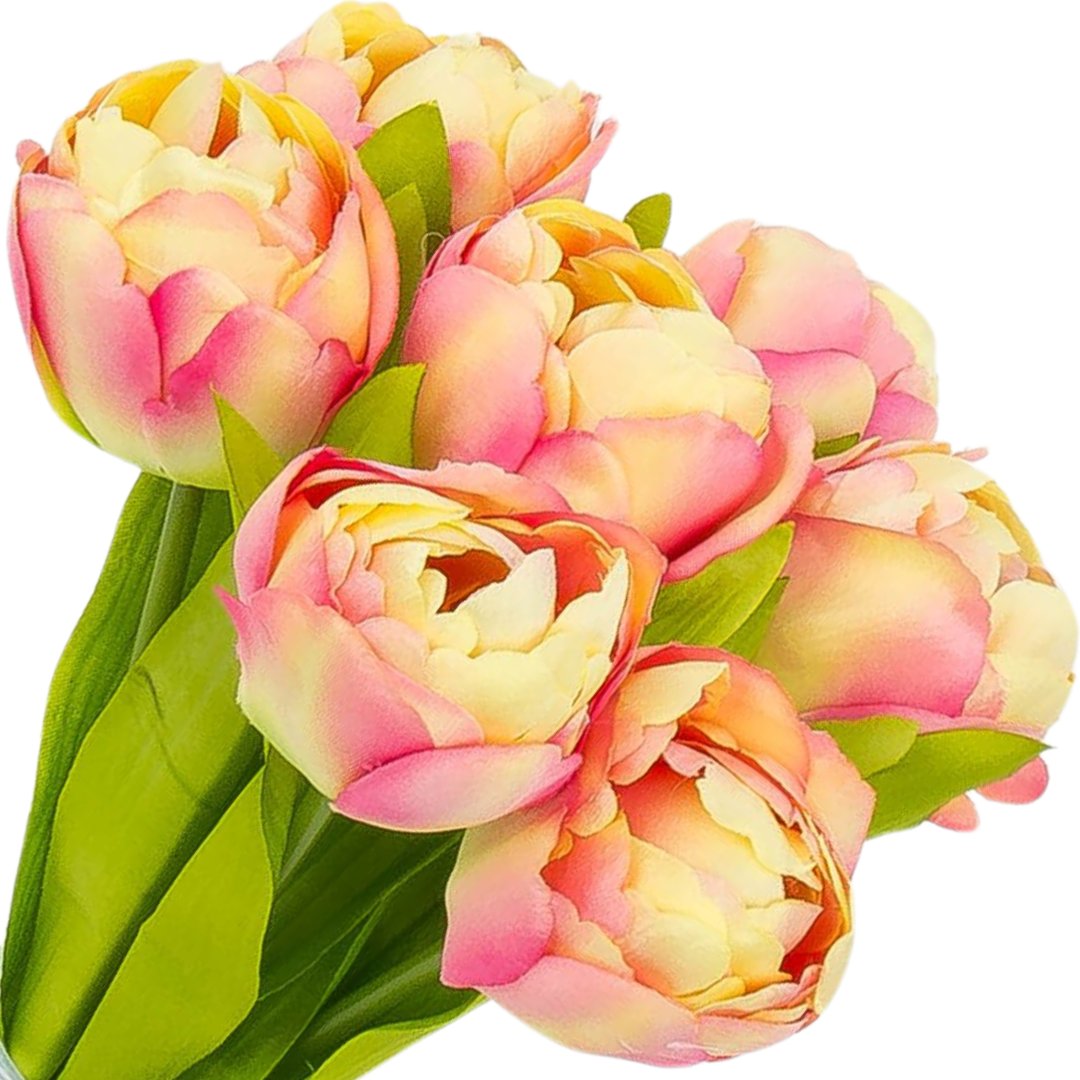 [w04321] Bukiet tulipanów pełnych 7 kwiatów kremowo-różowy 39cm