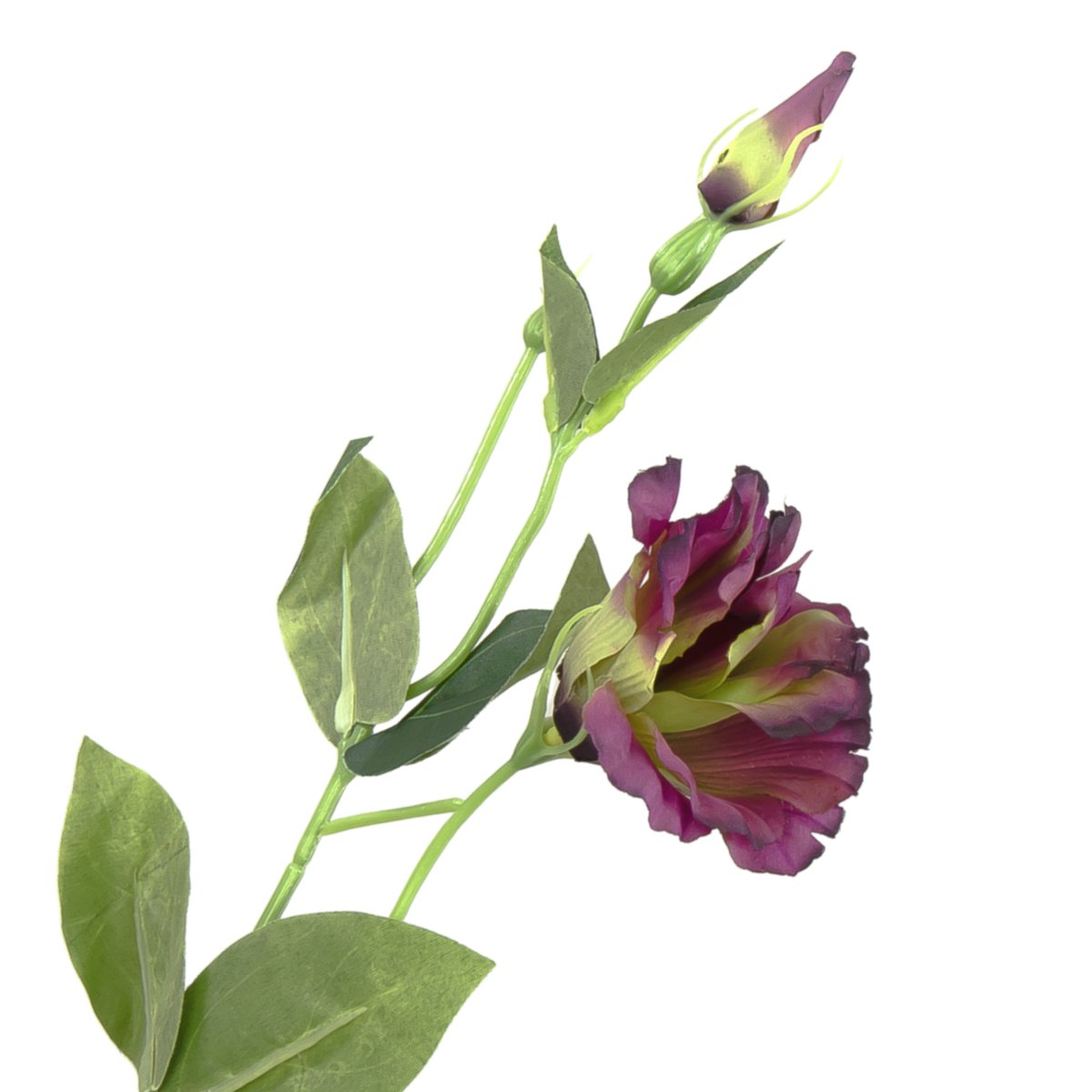 [680749] Gałązka kwiatowa eustoma bordowo-zielona