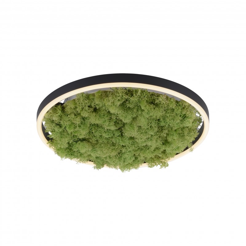 ZUMA LINE 15391-66 LAMPA SUFITOWA GREEN RITUS