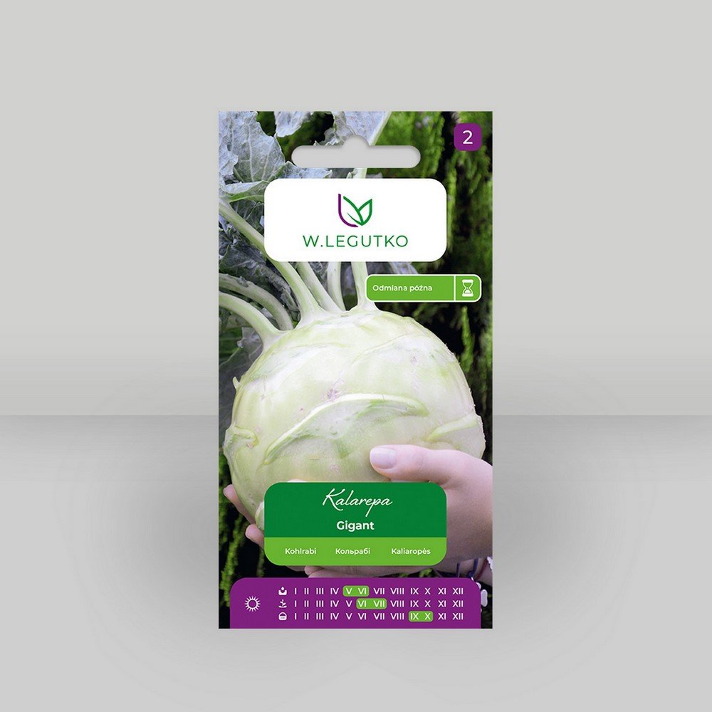 Kalarepa Gigant Zielona 2g - Nasiona - W. Legutko