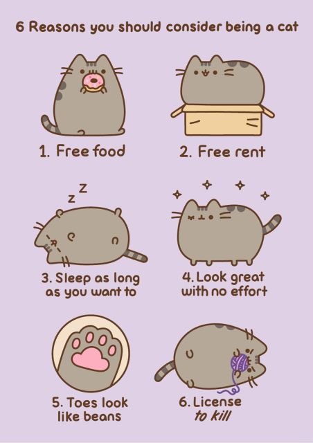 Pocztówka A6 Pusheen Reasons To Be A Cat kartki pocztowe oryginalne pocztówki kot