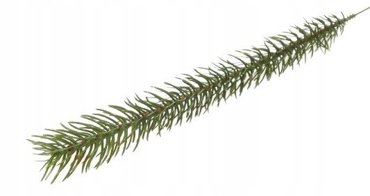 GAŁĄZKA 34cm DO wbijania STROIKA CHOINKA dekoracji święta jodła świerk