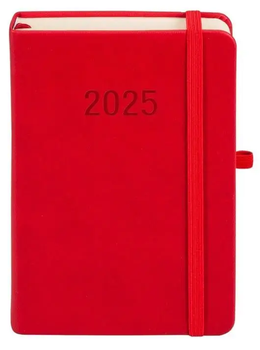 Kalendarz 2025 B6 Memofix DNS czerwony - -