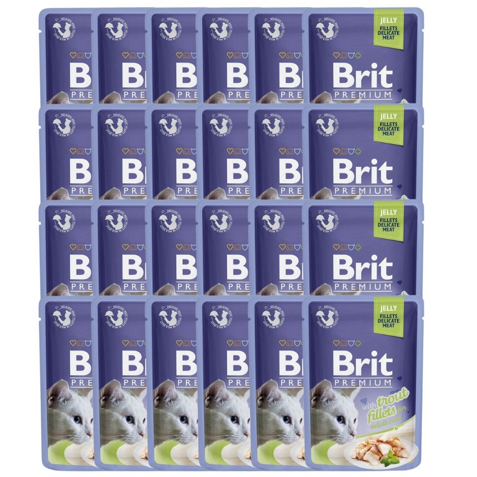 BRIT Premium Cat Fillets in Jelly mokra karma z pstrągiem dla kotów 24x85 g