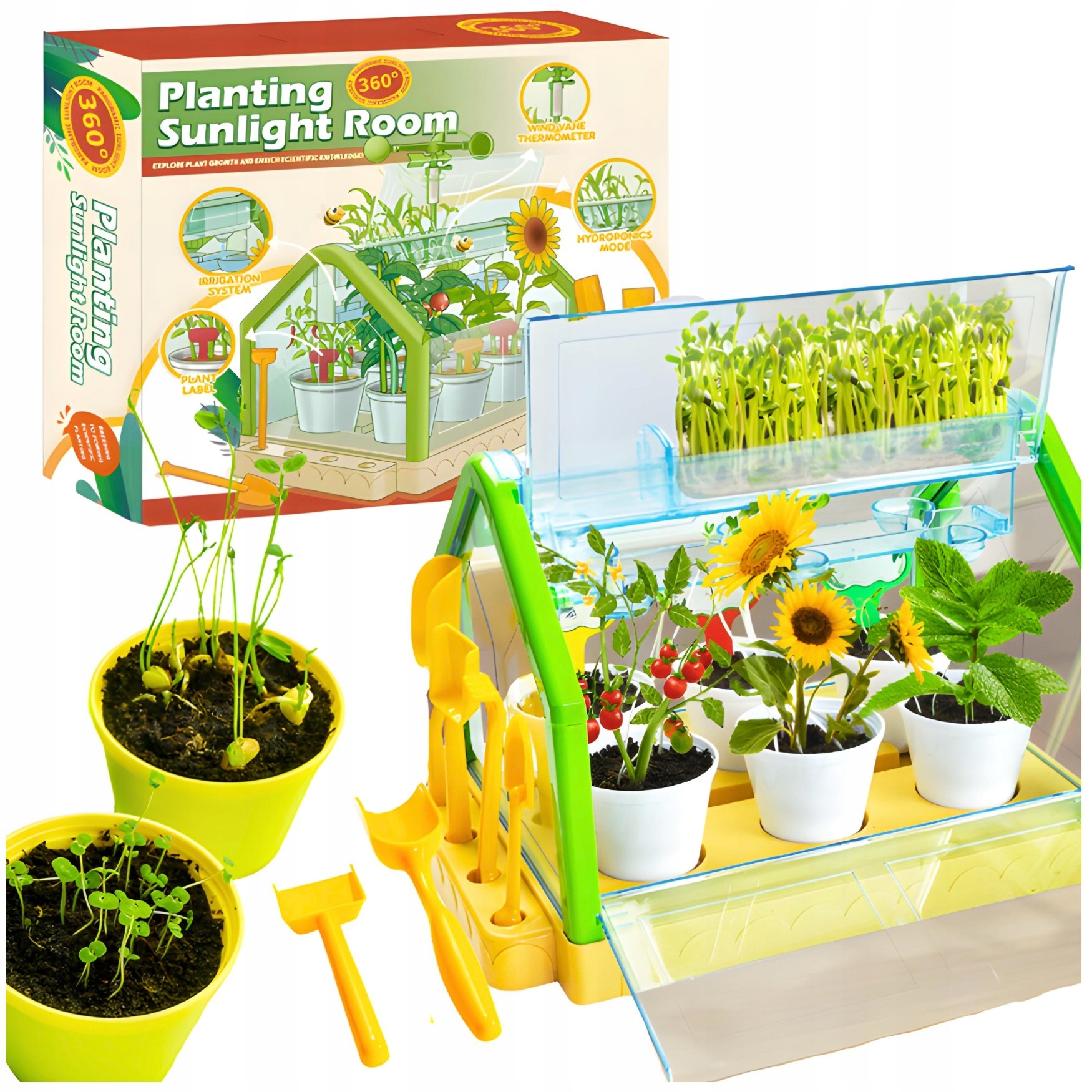 Szklarnia Mini eksperyment edukacyjny miniaturowy ogród na rośliny kwiaty